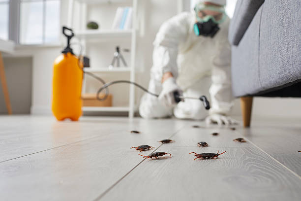 Commercial Kitchen Cockroach Control in Hartsville